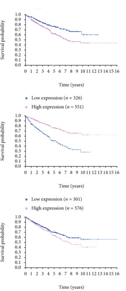 Equitable Biomarker Discovery Visualization